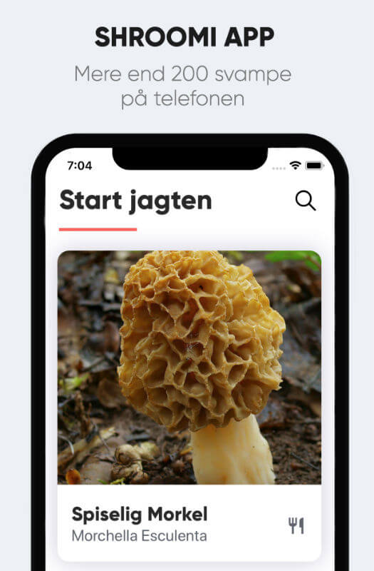 shroomi app