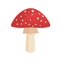 Fluesvamp