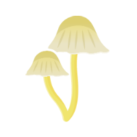 Huesvamp