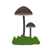 Løghat
