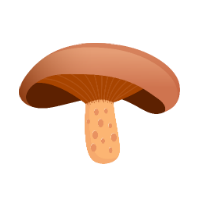 Mælkehat