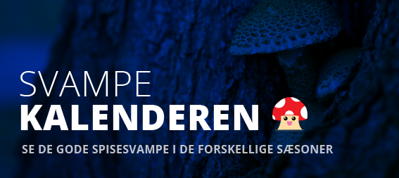 svampekalenderen