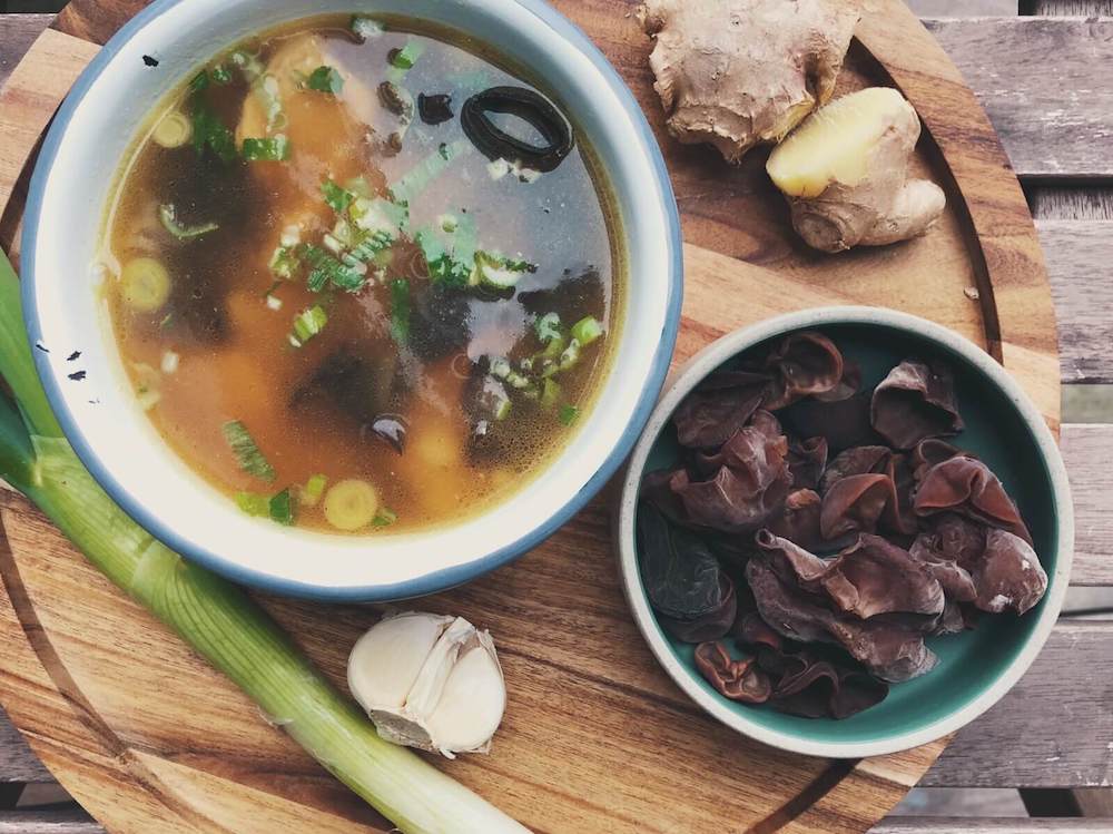 Kyllingesuppe med Judasøre