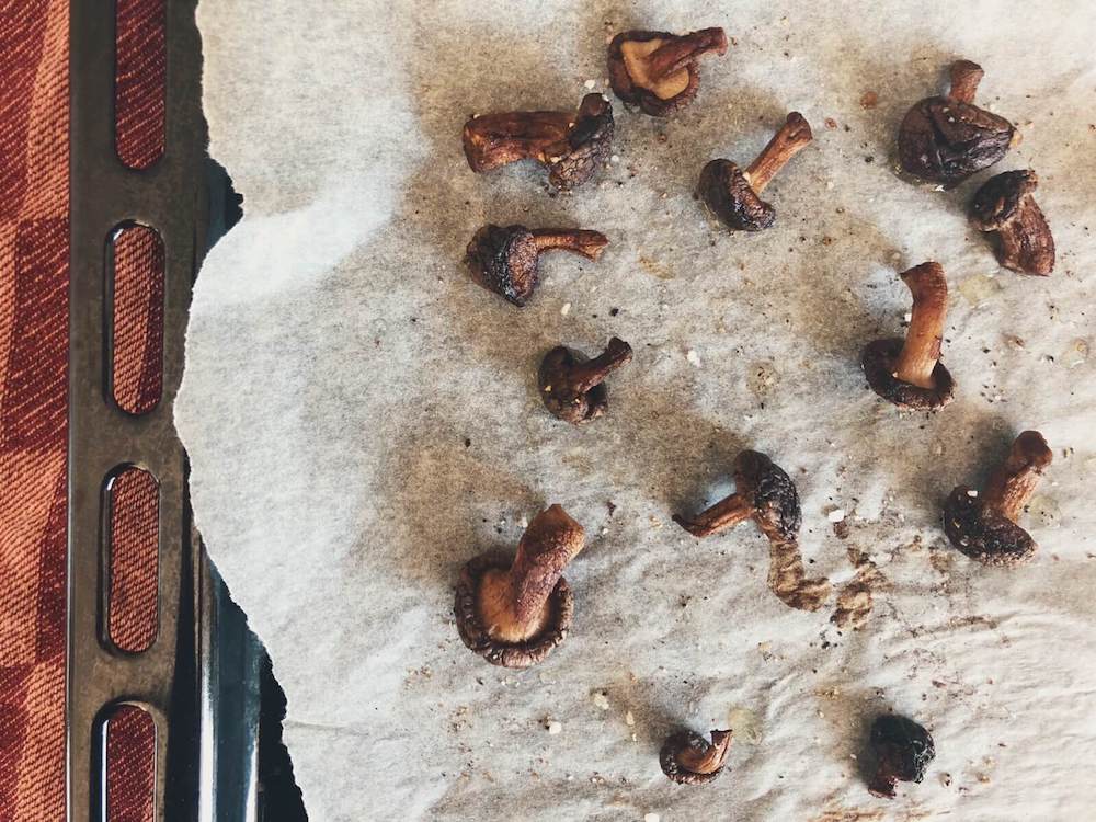Sprøde shiitake svampe i ovnen