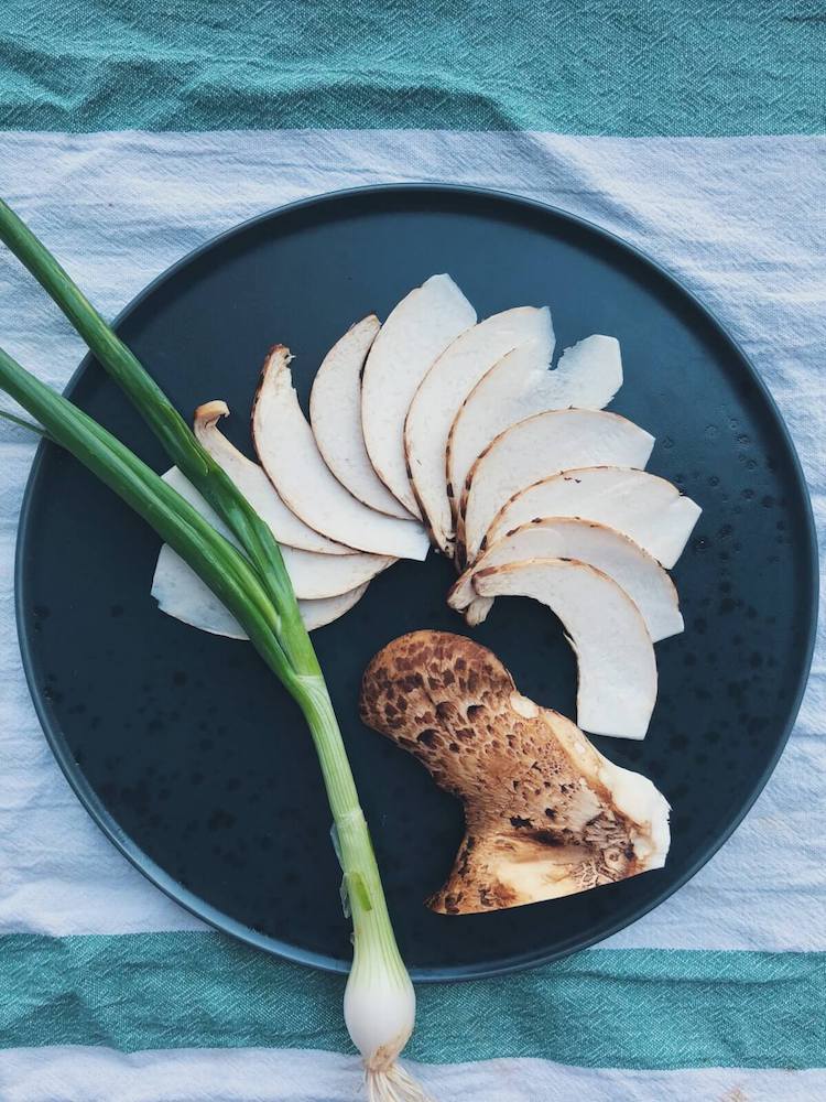 Svampetoast med Skællet Stilkporesvamp ingredienser
