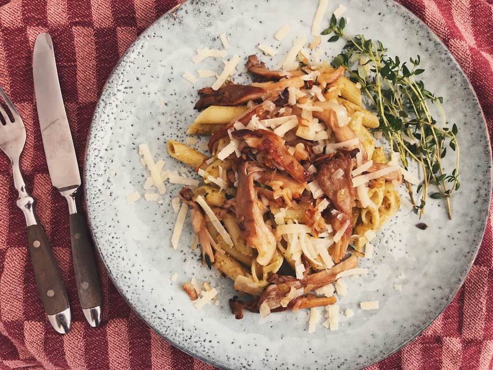 Pasta med pesto og østershatte