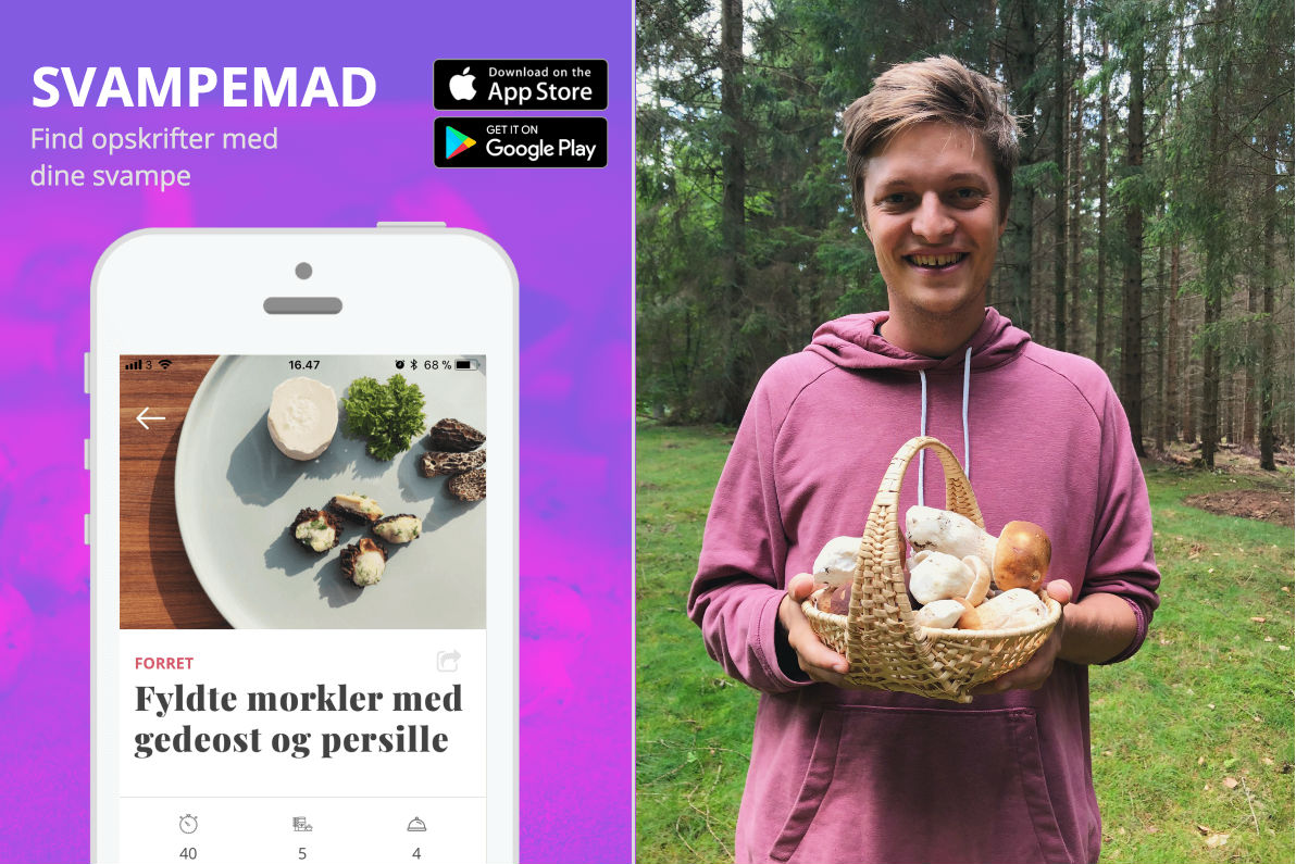 SvampeMad-billede