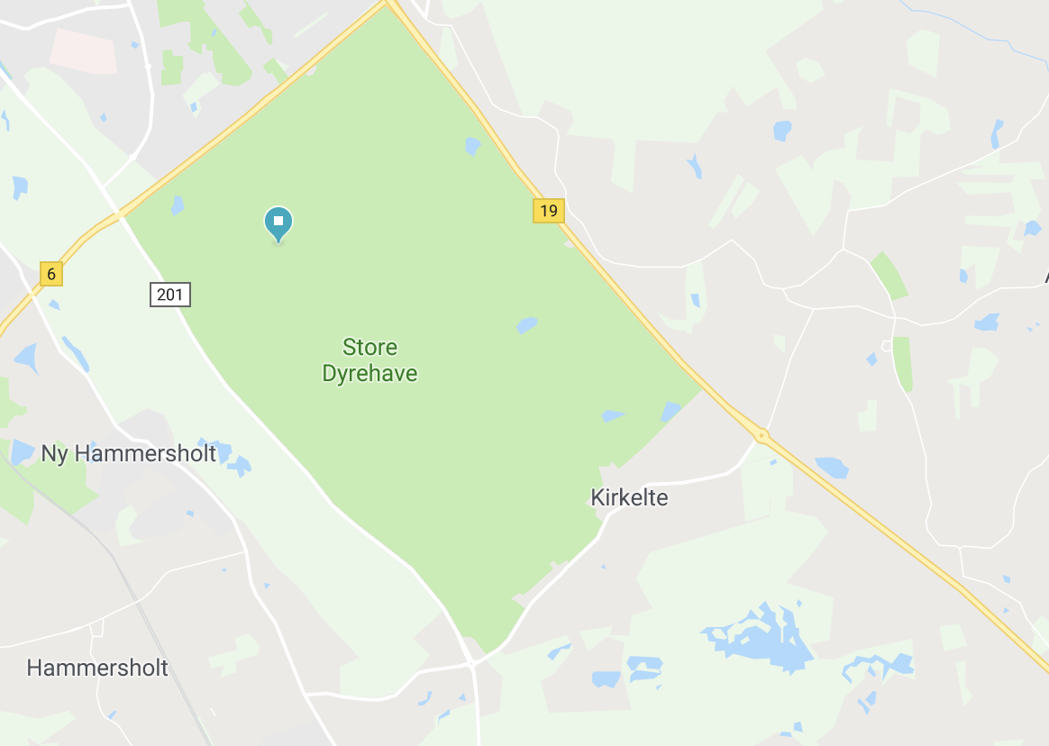 Svampejagt Store Dyrehave