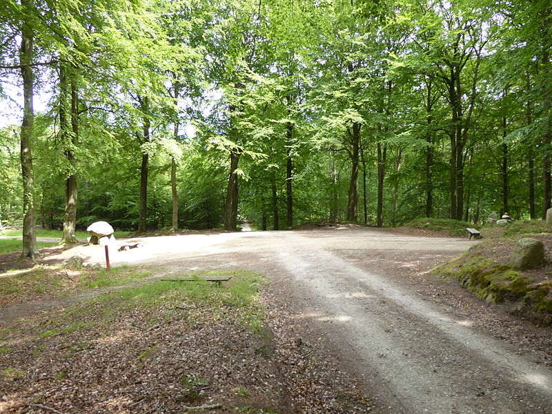Gribskov svampe